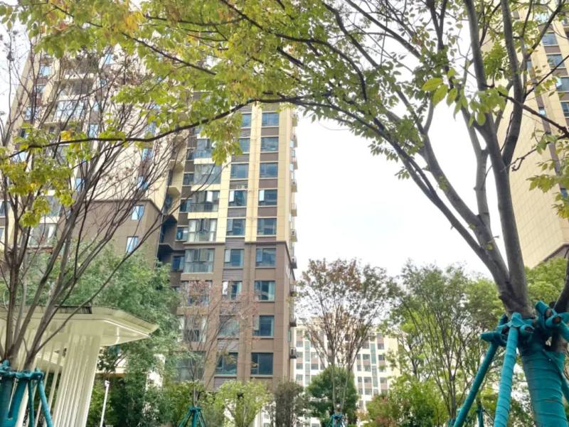 急風暴雨中 ，這幫人還在悄悄地忙個不停！