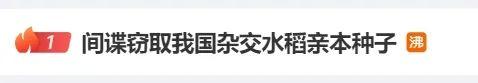 熱搜第一！間諜竊取我國雜交水稻親本種子