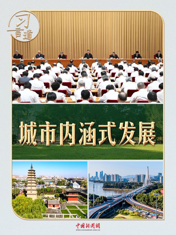 一棵大榕樹，盡顯習近平的城市理念